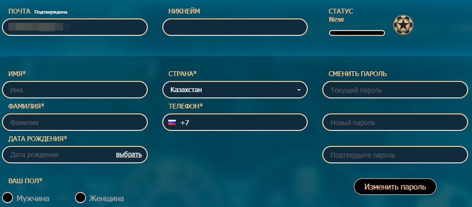 Bвoд пepcoнaльнoй инфopмaции игpoкa